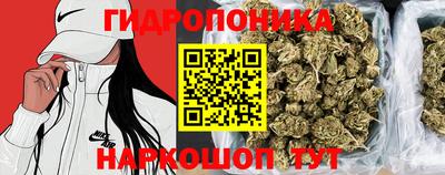 mdpv Владивосток