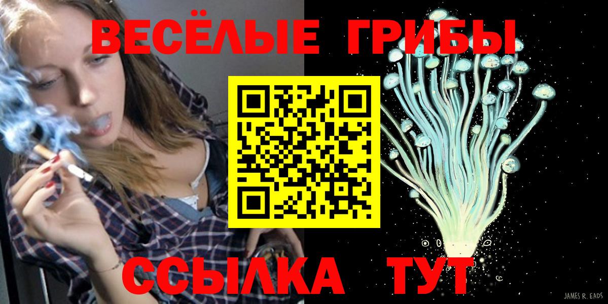 наркотики  Вход с VPN  Великий Устюг  Псилоцибиновые грибы GOLDEN TEACHER 
